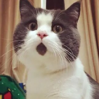 alphadev34's profile picture. 