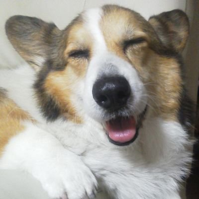 わっきーさんのプロフィール画像