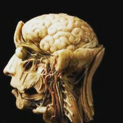 SarwarMush54424's profile picture. 