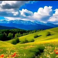 AbuHamza (@bn_am7406) Twitter profile photo