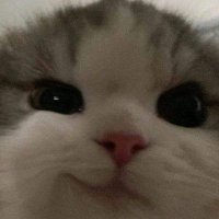 JC (@jkrmms) 's Twitter Profile