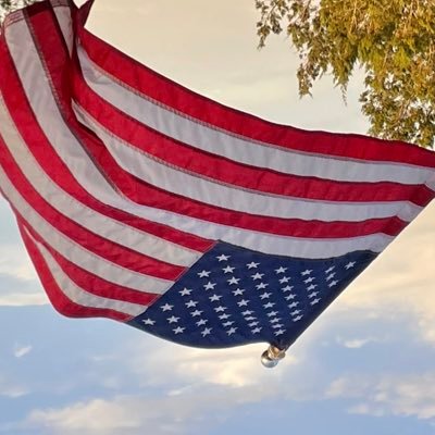 joydurnin's profile picture. 🚫DMs loud mouth patriotic constitutional American🚫 DMs