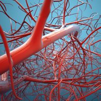 Vascular UHP (@vascularuhp) 's Twitter Profile Photo