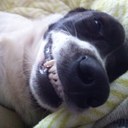 Joanna Mayer - @JCMayer424 - Twitter