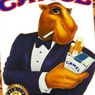 Camel (@camelcr0) 's Twitter Profile Photo Camel (@camelcr0) 's Twitter Profile Photo