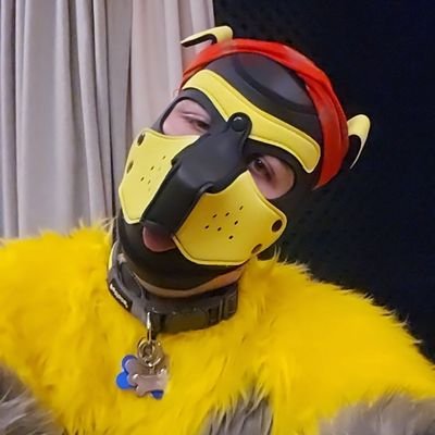 PupBonkersAD's profile picture. AD Account for @YellowFluffDog

stray dog just need a cuddle 

25 yo LGBTQI+  pup hehe. 
Always open to DMs 
Telegrame: @Fur_Bonkers
Instagram: Pup Bonkers