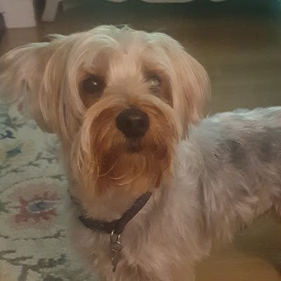 Borderview19762's profile picture. 