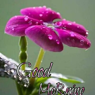 senthil643557's profile picture. 