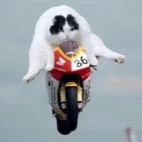 evrst (@evrstr6) 's Twitter Profile