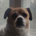 john erling grande - @havek61 - Twitter