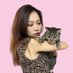 $MachiMachi (@machicatcto) Twitter profile photo $MachiMachi (@machicatcto) Twitter profile photo