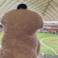 あくる(⚾️の姿) (@aklisch_bm) 's Twitter Profile Photo あくる(⚾️の姿) (@aklisch_bm) 's Twitter Profile Photo