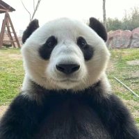 Zhipeng Lu (@zhipengluu) 's Twitter Profile