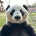 Zhipeng Lu (@zhipengluu) Twitter profile photo Zhipeng Lu (@zhipengluu) Twitter profile photo
