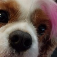 β πππ¬πππ
³ππβπ_π§πβ (@genxpseudonym) 's Twitter Profile