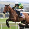 FinnDogTips's profile picture. Horse Racing Tips! ↙️ +300 Pts Profit since 2024 🚀