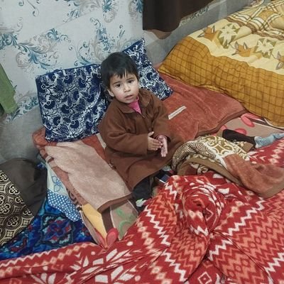 SHAFQATHUS31884's profile picture. 