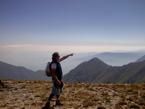 tiedgo's profile picture. Living happily