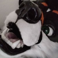 Leadpaw (@leadpaw44) 's Twitter Profile
