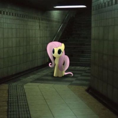 koalanguyt's profile picture. 20+ 🐨🐰/ 💨🌊🎴 / 🥦💥🍰 / 🤱🪚/💧🔶/ 🦈All/🏛🌱/ 🍁❄️/⚖️🪴/All 🍁🐉