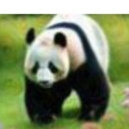 ShohagA89089264's profile picture. WEWDLK34