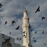 Nada sh. (@n_shwyr7) 's Twitter Profile