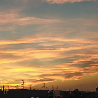 DieuBaron71838's profile picture. 