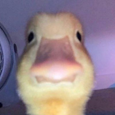 theinternetHOF's profile picture. DM for credit/removal