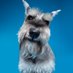 Muffin, The Miniature Schnauzer (@muffinjai) Twitter profile photo Muffin, The Miniature Schnauzer (@muffinjai) Twitter profile photo