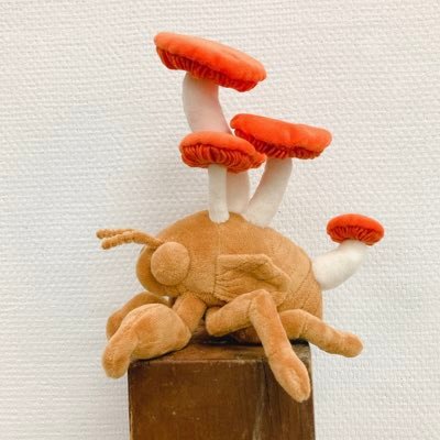 内野和美さんのプロフィール画像