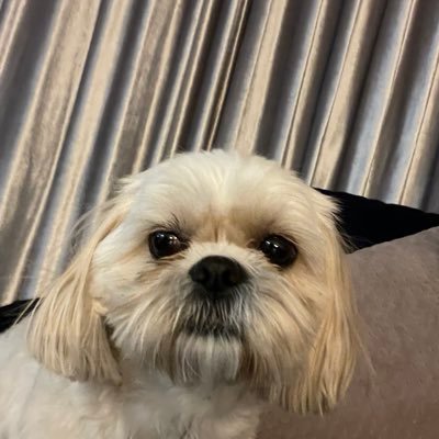 piotr_mot's profile picture. poglądy liberalne