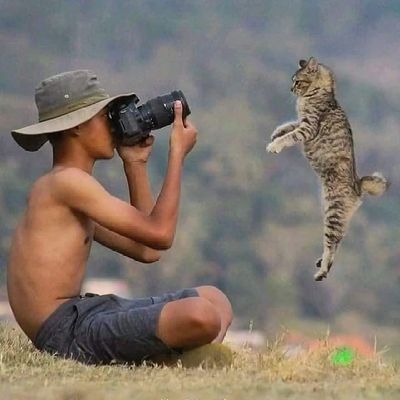 sandeshpau77320's profile picture. 