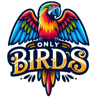 Check us out!!
TikTok- @TheRealOnlyBirds
YouTube- @TheRealOnlyBirds
Ebay- @unwatedtreasuresllc
Facebook- @TheRealOnlyBirds
Check Us Out!!
