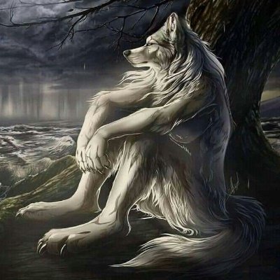 Brewxvo's profile picture. biggest emilia fan since '72