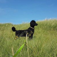 Jean Grace Payne🏴🏴🇮🇪 (@jeangracepayne2) 's Twitter Profile Photo Jean Grace Payne🏴🏴🇮🇪 (@jeangracepayne2) 's Twitter Profile Photo