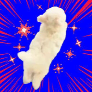 Speedyさんのプロフィール画像