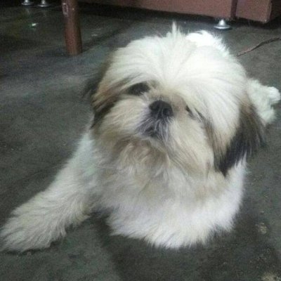 HwangYeonJooGoo's profile picture. N3ZPFSD2