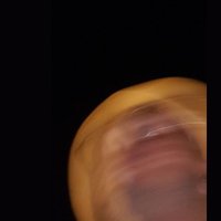 شخصيتي الجديدة: إيلي وبصحبته قط 🐈‍⬛ (@theonewhorocks1) Twitter profile photo