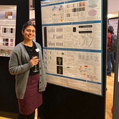 Final year PhD candidate. University of Southampton. Investigating Zn homeostasis in barley using CRISPR-Cas9 genome editing
