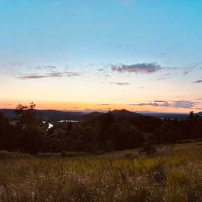 thom22703's profile picture. this app is garbage but I want to be able to open twitter links