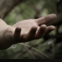 Man in the Woods (@maninthewo94525) 's Twitter Profile Photo Man in the Woods (@maninthewo94525) 's Twitter Profile Photo
