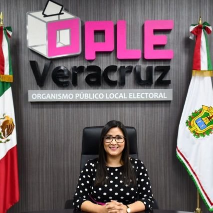 MabelHdezM's profile picture. Una ingeniera que es consejera electoral en @ople_ver. 
Temas: electoral, TIC. Pensemos en derechos. Creo que la democracia debe ser inclusiva.
Postura personal
