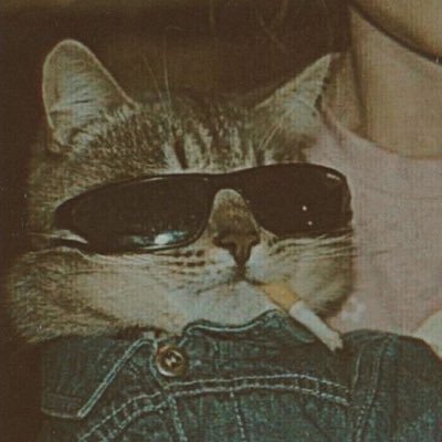 roccos122's profile picture. 