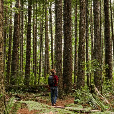 toranaga_01's profile picture. Web3
Airdrops
Crypto mining