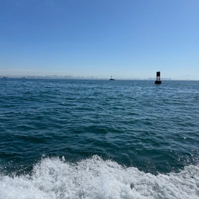 quirklogic's profile picture. 