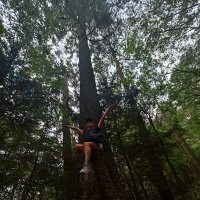 🇲🇽 Maricela 🇲🇽 Azulcrema 💛💙 (@ladinahermosa) 's Twitter Profile Photo