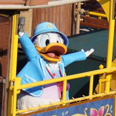 dorudona_Disney's profile picture. 𝔻𝕚𝕤𝕟𝕖𝕪🐭🏰 07🚹 / D垢 /遠方組 /BGS ショーパレ 写真 character ドナルド シンドザル モンキー ミッキー /next⇒7/28海/月1