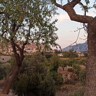 labutterouge75's profile picture. Je voudrais pas mourir
Sans qu’on ait inventé
Les roses éternelles
La journée de deux heures
La mer à la montagne
La montagne à la mer