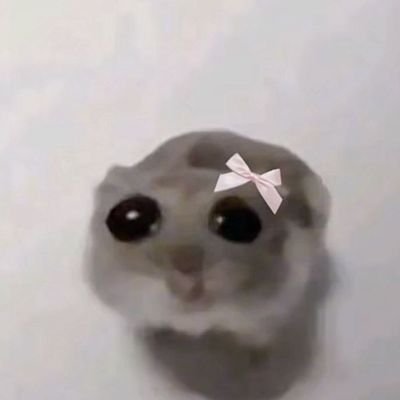 jaiib_.bさんのプロフィール画像
