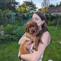 Hannah Prutton (@hannah_prutton) 's Twitter Profile Photo Hannah Prutton (@hannah_prutton) 's Twitter Profile Photo